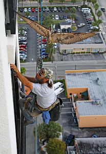 Window washer flying hazard - Photo by Ron Thomas