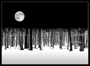 Winter Moon - Photo by Bruce Metzger