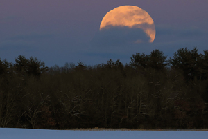 Winter Moon - Photo by Eric Wolfe