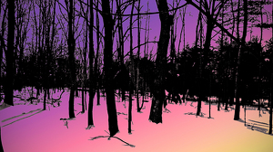 Class A 1st: Woods On Winter Evening by Dolph Fusco