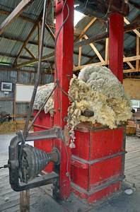 Wool On Chilean Bailing Machine - Photo by Louis Arthur Norton