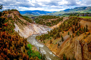Yellowstone - Photo by John Parisi
