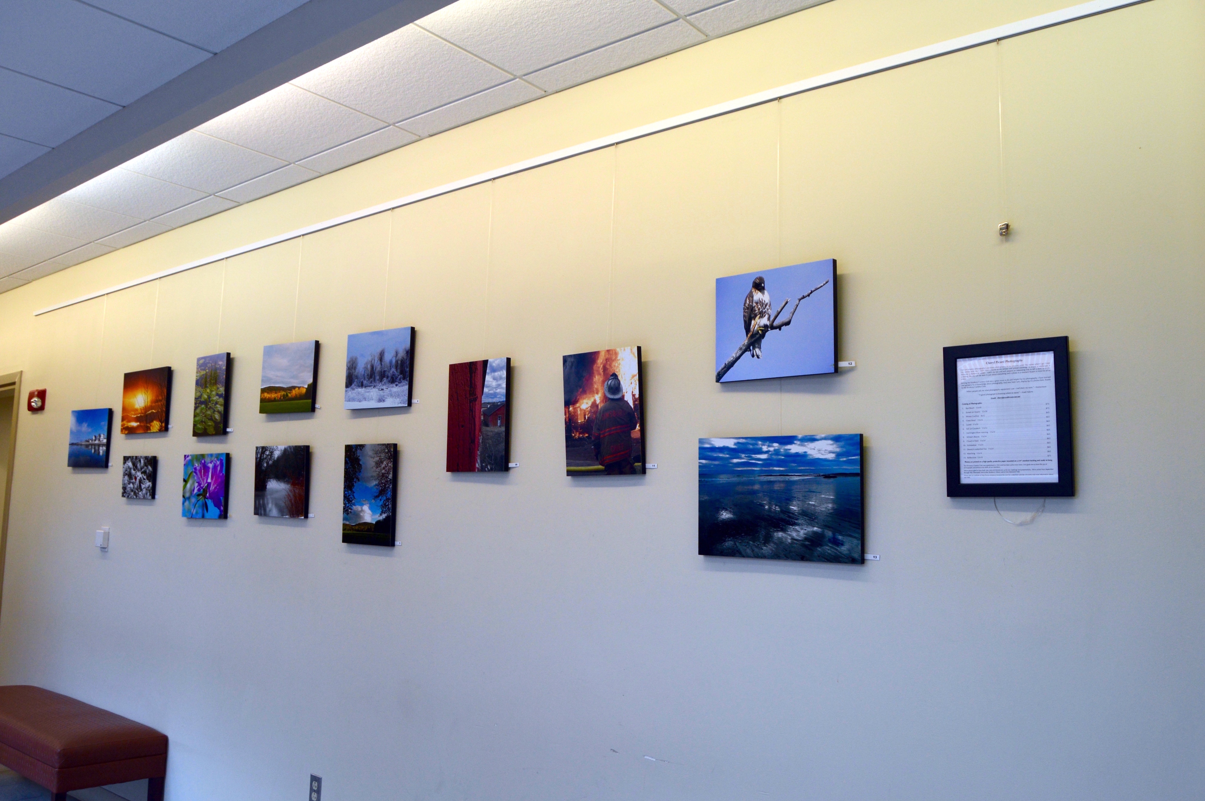 Cheryl Picard photography display at the Simsbury Public Library