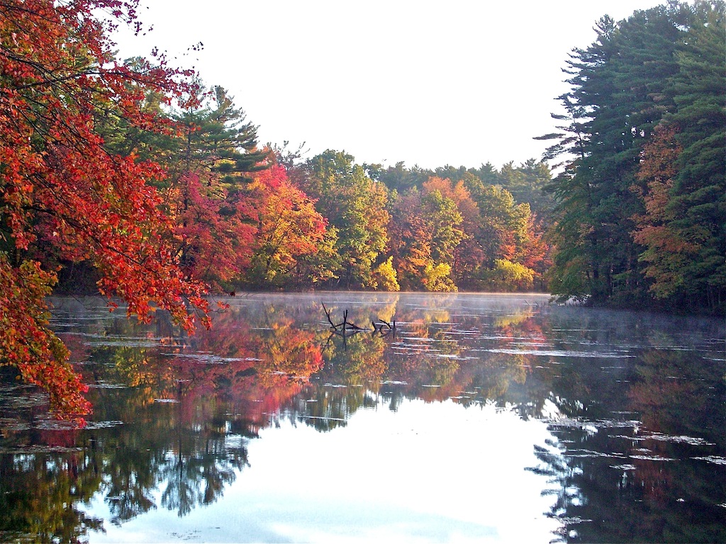 Autumn Reflections, Gary Gianini, Open ,Nov2015