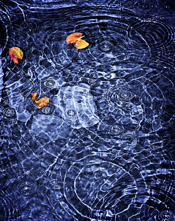 Rain Water Circles, Frank Zaremba, Water, Sept-2015