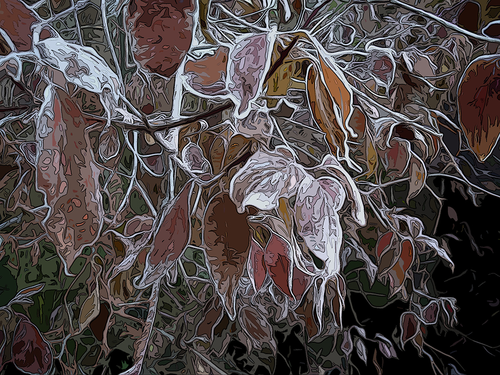 Red Leaves, Ken Picard, Creative, Dec 2015 – 23